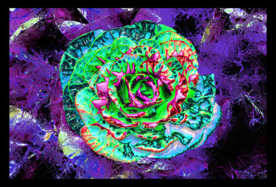 50% OFF on Dance of Canvas Art 50% OFF on Dance of Canvas Art