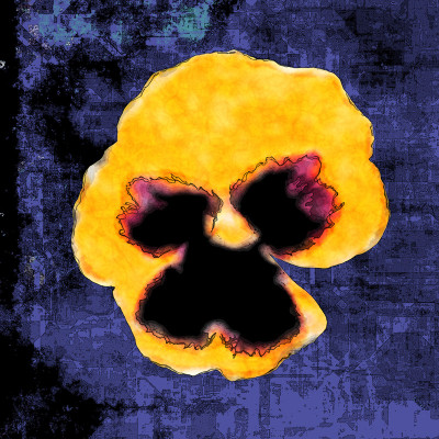 50% OFF on Colourful Flowers Paper Print 50% OFF on Colourful Flowers Paper Print