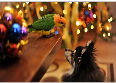 37% OFF on Cute FriendsPoster (18 x 12 Inches) by Shopkeeda Paper Print