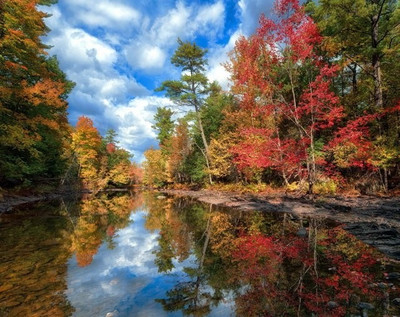 2% OFF on Wonder Images Beautiful Lakeside Scenary with Back Framing Canvas Art