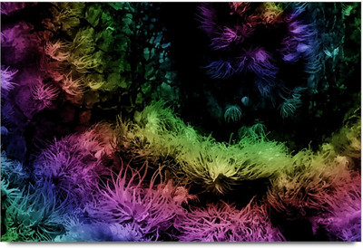 50% OFF on Under water beauty Paper Print