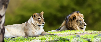 50% OFF on Woman on Canvas Art 50% OFF on Woman on Canvas Art