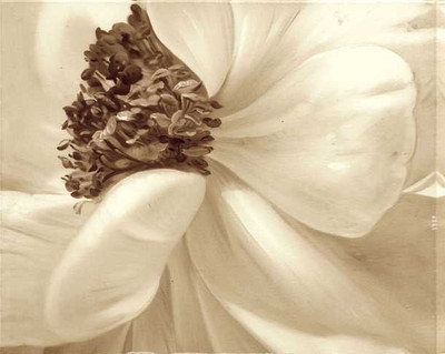 77% OFF on Painting Without Frame - White Flower Canvas Art