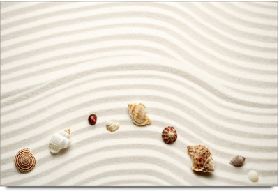 34% OFF on Amy Beautiful Sea Shall Art Paper Print