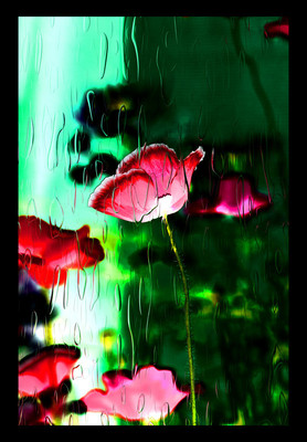 50% OFF on Poppies 01 Canvas Art