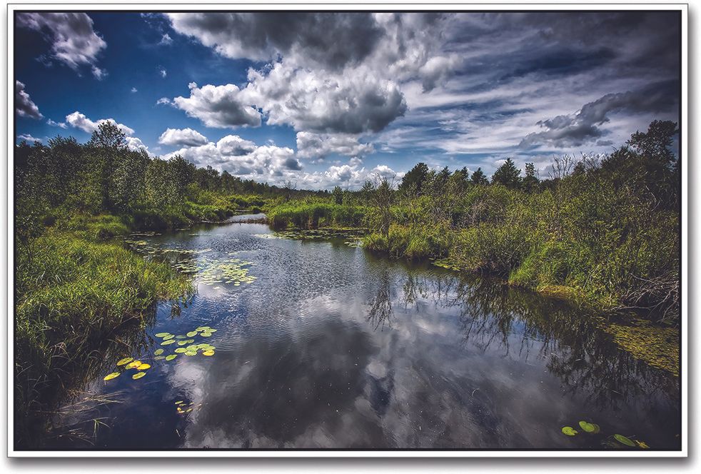 48% OFF on River Flowing in Forest Paper Print