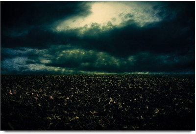 75% OFF on Amy Dark Vintage Ground Paper Print 75% OFF on Amy Dark Vintage Ground Paper Print