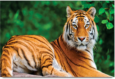 75% OFF on Amy Tiger Big Wildlife Animal 3D Poster