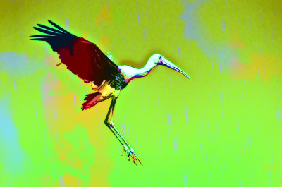 50% OFF on Painted Stork Canvas Art