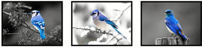 33% OFF on Blue birds Fine Prints Fine Art Print