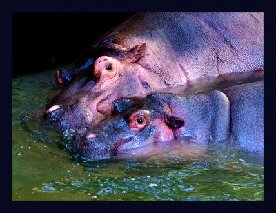 50% OFF on Mommy and Canvas Art