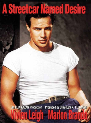 Essays on a streetcar named desire