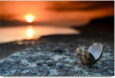 75% OFF on Amy Dargon Ball Z Angery Look Paper Print 75% OFF on Amy Dargon Ball Z Angery Look Paper Print