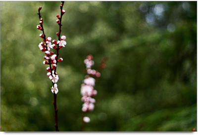 34% OFF on Amy Cute Mini Pink Flower Paper Print 34% OFF on Amy Cute Mini Pink Flower Paper Print