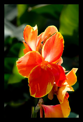 50% OFF on Bright and Paper Print