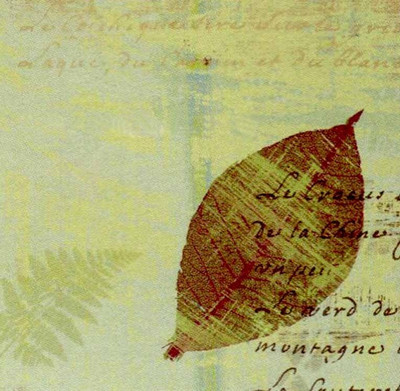 55% OFF on Leaves and Tranquility Fine Art Print