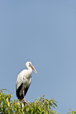 50% OFF on At rest Paper Print