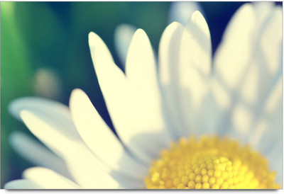 34% OFF on Amy 3D Two Starcraft Art Paper Print 34% OFF on Amy 3D Two Starcraft Art Paper Print