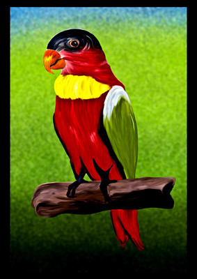 50% OFF on Parrot 01, Paper Print