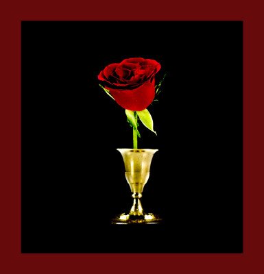 50% OFF on Rose in Paper Print