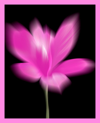 50% OFF on Divine Magnolias Canvas Art