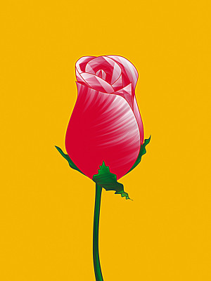 50% OFF on Rose Bud Canvas Art 50% OFF on Rose Bud Canvas Art