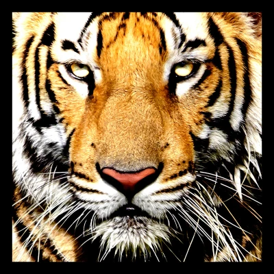 50% OFF on Look into Paper Print