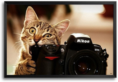 74% OFF on Nikon Cat Fp00003659 Framed Photographic Paper