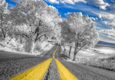 35% OFF on Winter Road Fine Art Print