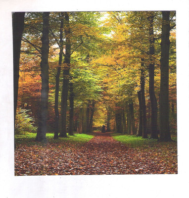 67% OFF on E-plant Fine Art Print