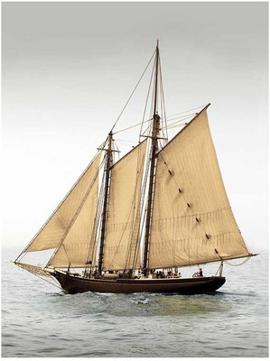 Montage - Mystic Journey II Fine Art Print