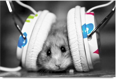 75% OFF on Mouse Headphone Paper Print