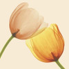 Lightness II Fine Art Print