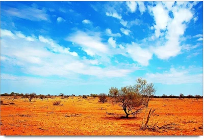 34% OFF on Amy Dry Summer Forest Paper Print 34% OFF on Amy Dry Summer Forest Paper Print