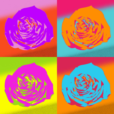 50% OFF on Colourful Flowers 71 Paper Print