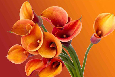 63% OFF on Floral Painting Canvas Art