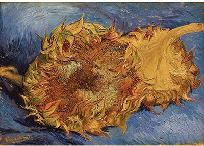 Sunflowers No.1 - Fine Paper Print Fine Art Print Sunflowers No.1 - Fine Paper Print Fine Art Print