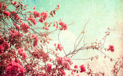 71% OFF on Artmagik Flowers Poster Fine Art Print