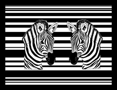50% OFF on Two Zebras Canvas Art