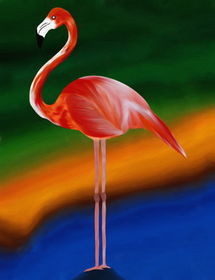 50% OFF on Flamingo 05 , Paper Print