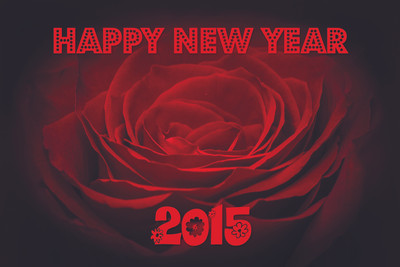 16% OFF on Poster - Amazing Red Rose for New Year Paper Print