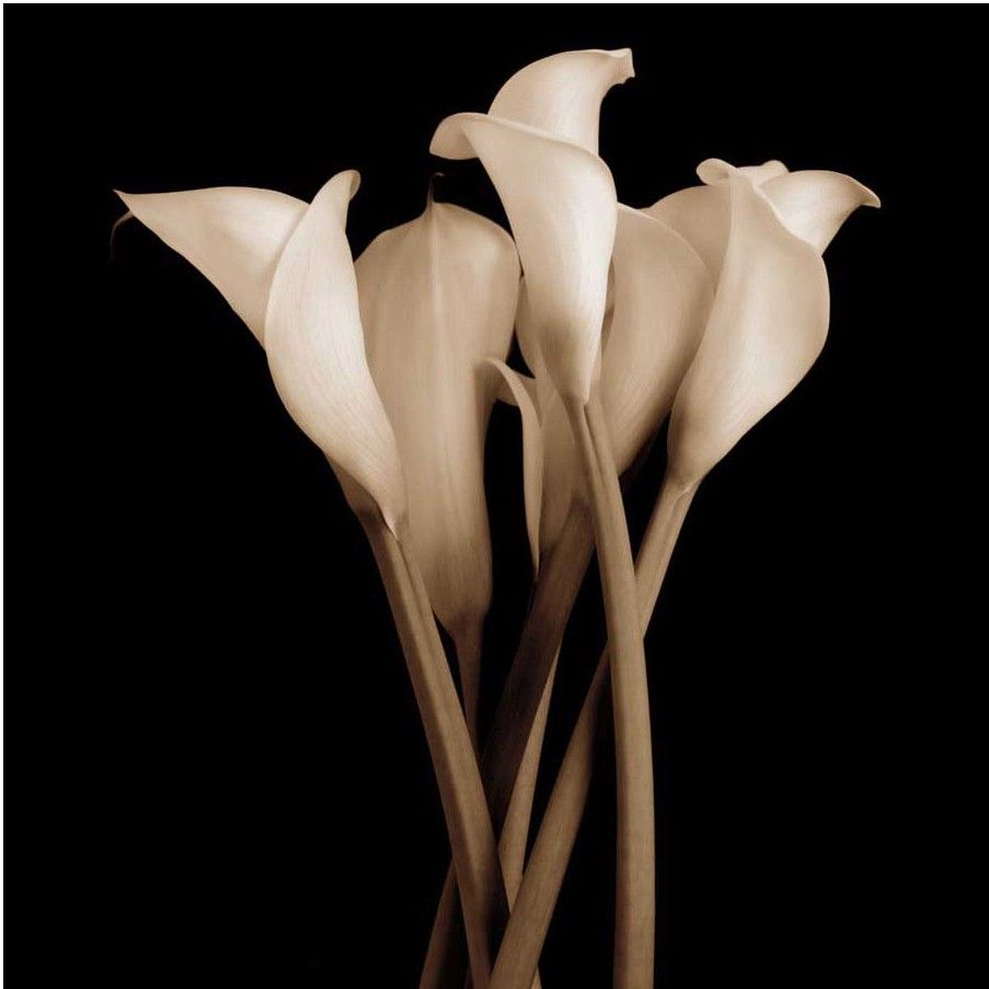 Montage - The Gathering Fine Art Print Montage - The Gathering Fine Art Print