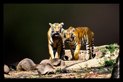 50% OFF on Thinking alike, Paper Print