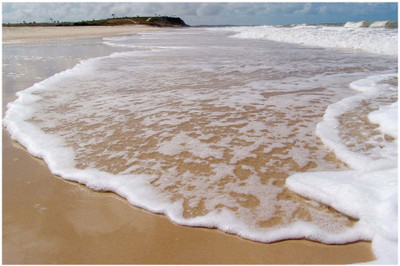 37% OFF on SPOILT - Tides By The Beach Paper Print 37% OFF on SPOILT - Tides By The Beach Paper Print