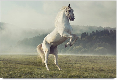 77% OFF on Shoprock Beautiful White Horse Photographic Paper 77% OFF on Shoprock Beautiful White Horse Photographic Paper