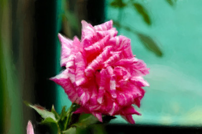 50% OFF on Colourful Flowers 69 Paper Print 50% OFF on Colourful Flowers 69 Paper Print