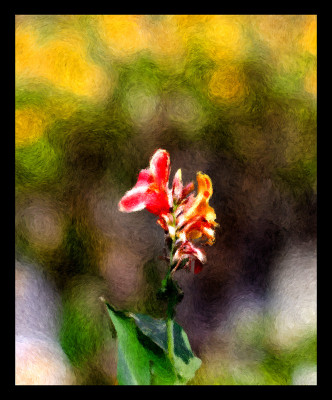 50% OFF on Colourful and Paper Print 50% OFF on Colourful and Paper Print