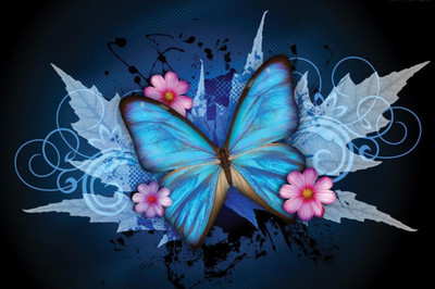 62% OFF on Blue Butterfly Poster Photographic Paper