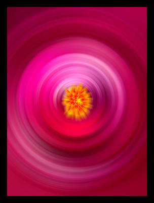 50% OFF on Swirls 07 Paper Print 50% OFF on Swirls 07 Paper Print