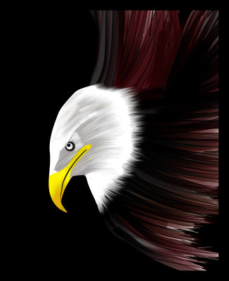 50% OFF on Eagle Canvas Art 50% OFF on Eagle Canvas Art